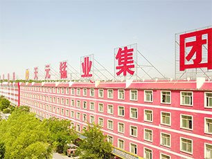 多元化的大型环球体育app下载app