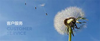 砥砺奋进